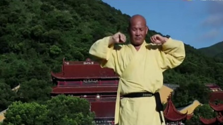 少林易筋经十二式大劲视频教程慢动作