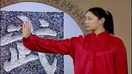 陈式简化太极拳36式教程视频大全下载