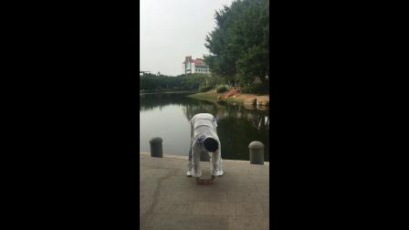 26易筋经掉尾势mp4视频教程慢动作
