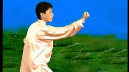 杨式太极拳81式背向演练视频教程慢动作