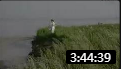 蒲剧《西湘记》 全集 全场戏曲高清视频mp4