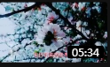 莲花落《一夜夫妻我勿爱金来勿爱银》戏曲大