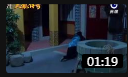 歌仔戏《偷抓鸡》戏曲大全mp3免费下载