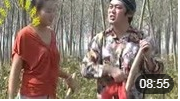 民间小调《兔子不吃窝边草》戏曲大全mp3免