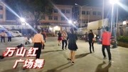 中老年健身舞《你并不在意我爱你》教学视频