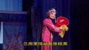 柳琴戏《父子结拜》京城里边开科考我要进京