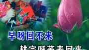 二人台《 撒荞麦》戏曲下载免费mp4高清