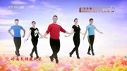 王广成广场舞《中华大花园》教程初级舞步视