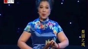 河南坠子《夜明珠传奇》刘宗琴高徒戏曲免费