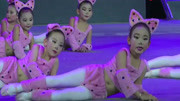 儿童舞蹈 《波斯猫》少儿舞蹈 幼儿园舞蹈 