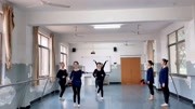 幼儿舞蹈《快乐星猫》教学视频基础步慢动作