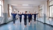 必备幼儿舞蹈律动《新年乐淘淘》教学视频基