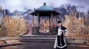 淮剧《刘贵成私访》选段 小毛驴满街跑 戏曲