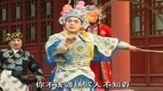 琴书《樊梨花征西》薛应龙请了元帅领出营战