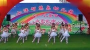 幼儿舞蹈《轻轻地告诉你》儿童舞蹈 教学视