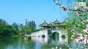 青青叶子广场舞《烟花三月下扬州》教学视频