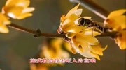 淮剧《六部审》唱段 裔小萍 徐彩魁演唱 戏