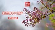 《虎狼记》郭德纲单口相声mp3免费打包下载