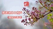 《姐妹还魂记》郭德纲长篇单口相声全集mp3