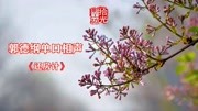 《还房计》上集 郭德纲单口相声mp3在线收听