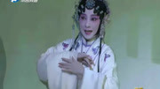 昆曲《牡丹亭》选段 沈丰英 没乱里春情难遣