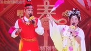 名家名段二人转《杨八姐游春》选段 王成 唐晓霞  戏曲名段免费下载下载