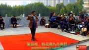 梨园戏《桃花庵九尽春回》戏曲下载免费mp4