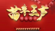 《桥头诗》苗阜王声2020最新相声专场第19集