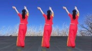 广场舞《张灯结彩》背面演示教学视频基础步