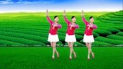 广场舞《敖包相恋》教学视频基础步慢动作分