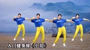 中老年入门健身操《小花》超级瘦身减肥一看