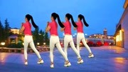 中老年动感健身操《一晃就老了dj》跟着背面
