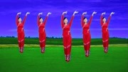 广场舞《心上的罗加》教学视频基础步慢动作
