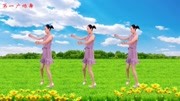 迪斯科健身操《步步高》广场舞教学视频基础步慢动作分解法下载