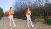 精选网红舞弹跳32步《野人的士高》广场舞健身操减肥操下载下载