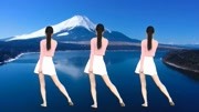 广场舞《老年迪斯科》背面演示 广场舞健身操减肥操下载下载