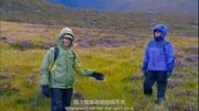 野外求生单身狗慎入一个求生节目竟然让我吃