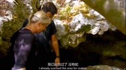 野外求生这夫妻俩有意思一起在河边找贻贝太