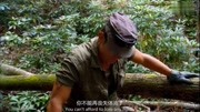 野外求生这泉水来的太及时迈克正好生病缺水这可真是良药下载