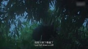 决胜荒野德爷把自己都逗笑了好不容易搭个窝还差让自己丧命下载