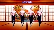 新编迪斯科步子舞《像天使般腼腆》教学视频