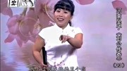 河南坠子《刘公传奇》二十三部 胡银花 第十