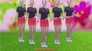 DJ广场舞《応子广场舞曲》学跳广场舞一步一