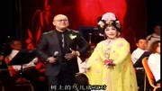 茂腔《天仙配》张美香演唱会 刘佳助演 茂腔mp3免费下载戏曲