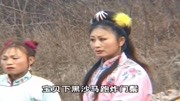 琴书大全视频下载《飞龙传》小姑娘宝囊里拽