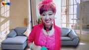 地方曲艺道情《潘金莲》选段 民间艺人玲珑
