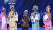 二夹弦mp4下载《梁祝》白雪 吴琼 汪荃珍 杨红霞共同学唱下载