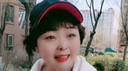 评剧mp4免费下载《刘巧儿》选段名家演绎经