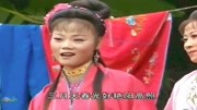 庐剧下载mp4《劝小姑》小姑在家心烦躁 想去