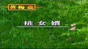 黄梅戏全本mp3下载《挑女婿》下集